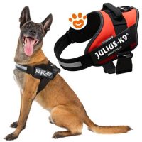 Pettorina IDC Julius K9 Powerharness (ITA)