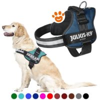 Pettorina Julius K9 Powerharness (DE)