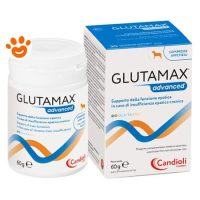 Candioli Dog&Cat Glutamax Advanced in Compresse