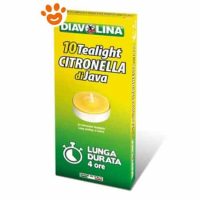Diavolina Candele Tealight alla Citronella