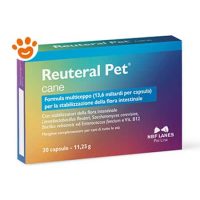 NBF Lanes Dog Reuteral Pet