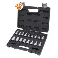 Beta Set Chiavi a Bussola per Viti con Profilo Torx (17 Pezzi) BW 923E-FTX/C17