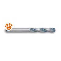 Bosch Punta Universale (12x250mm)