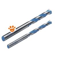 Bosch Punte Universali Prolungate (14x250mm)