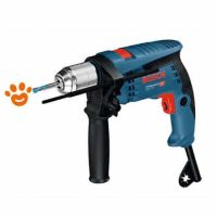 Bosch Trapano Percussore (600W) GSB 13 RE