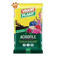 Vigorplant Ornamentali Terriccio per Acidofile