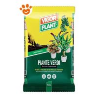 Vigorplant Ornamentali Terriccio Piante Verdi