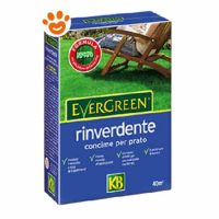 KB Evergreen Concime Prato Rinverdente