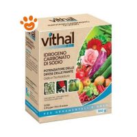 Vithal Garden Idrogeno Carbonato di Sodio