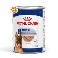 Royal Canin SHN Dog Maxi Ageing