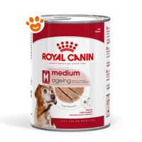 Royal Canin SHN Dog Medium Ageing