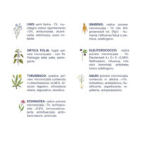 Elenco piante officinali e proprietà benefiche