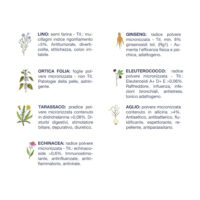 Erbe officinali illustrate con proprietà e benefici