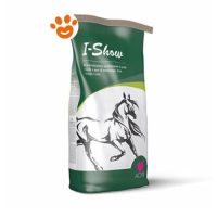 Acme Horse I-Show