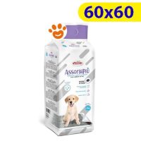 Record Assorbipiù con Carbone
  Attivo (60x60) Tappetini Igienici Assorbenti