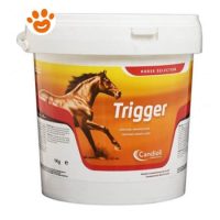 Candioli Horse Trigger