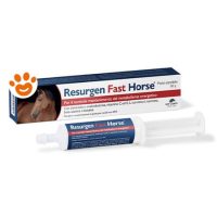 NBF Lanes Horse Resurgen Fast