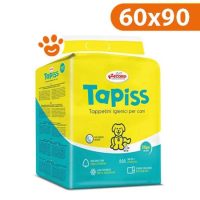 Record Tapiss (60x90) Tappetini Igienici Assorbenti