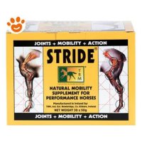 TRM Horse Stride