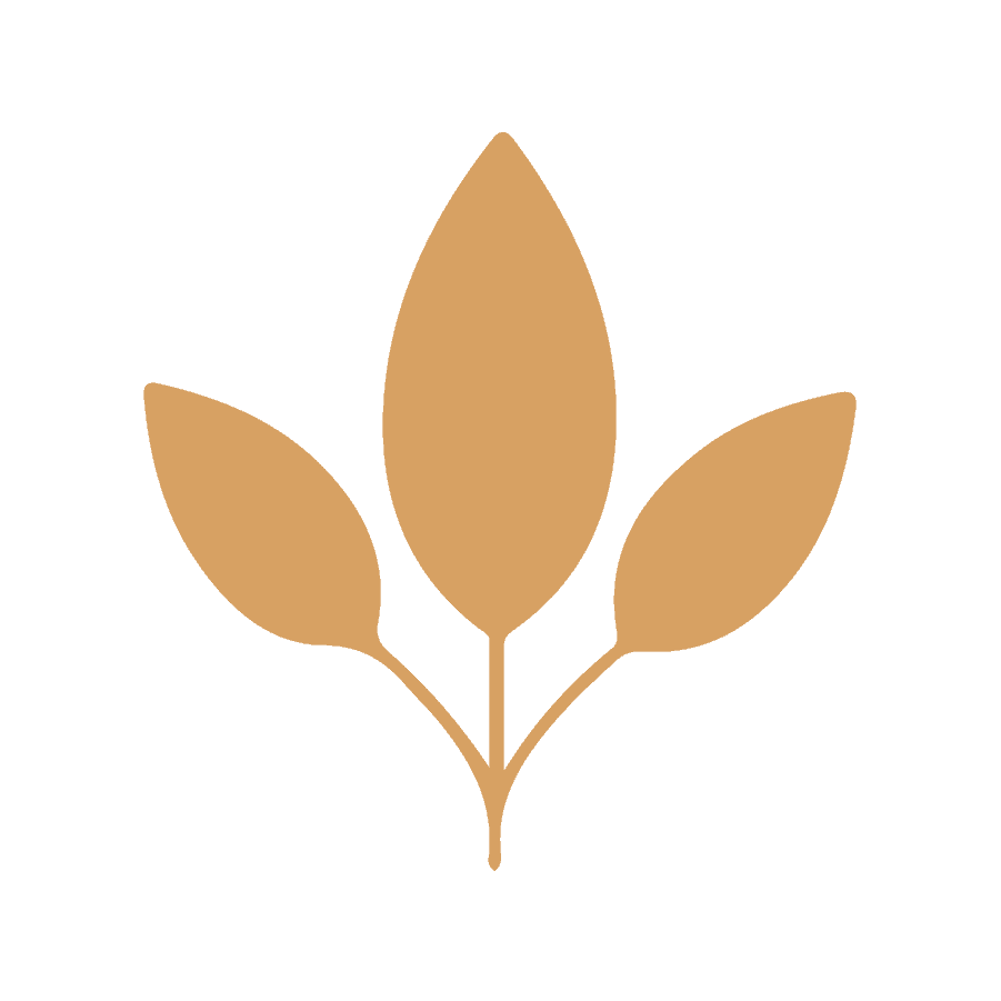 GINSENG