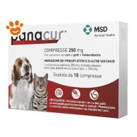 MSD Dog & Cat Panacur