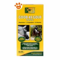 TRM Horse Good as Gols Pasta