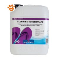 Lapi Piscina Semplice - Alghicida CONCENTRATO - Antialghe