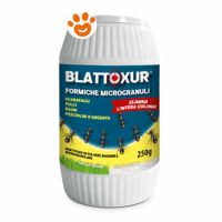 Adama Blattoxur Insetticida Anti Formiche
