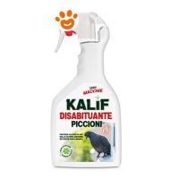Adama Kalif Disabituante Piccioni