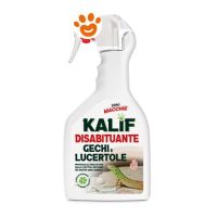 Adama Kalif Disabituante Gechi e Lucertole