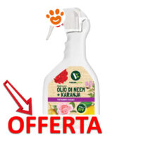 Spray Olio di Neem e Karanja offerta