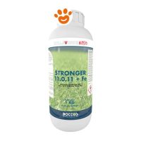 Bottos Stronger Sementi per Prato