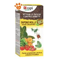 Zapi Sapone Molle Bio Liquido Concentrato