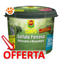 Solfato ferroso COMPO in offerta per prato verde