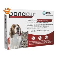 MSD Dog & Cat Panacur Forte