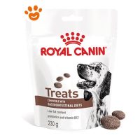 Royal Canin Dog Veterinary Diet Gastrointestinal Treats Snack per Cani