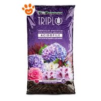 Tercomposti Triplo Terriccio Acidofile
