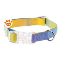 Ferribiella Collare Motif Raimbow
