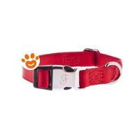 Ferribiella Dog Collare Regolabile Nylon (10x20-35 cm)