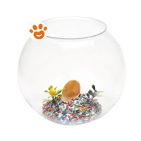 Record Fish Bowl con Decorazione