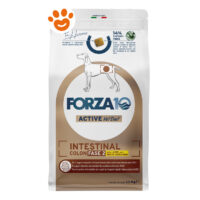Forza10 Dog Active VetDiet Intestinal Colon Fase 2 Agnello e Sorgo