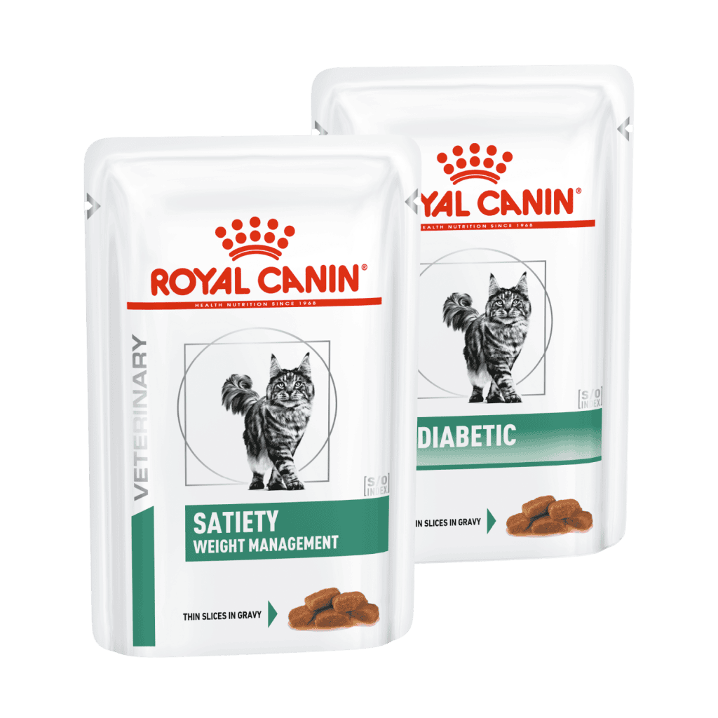 Cibo umido Royal Canin per gatti dieta veterinaria