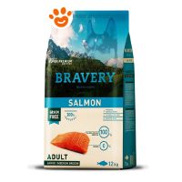 Bravery Dog Adult Medium Large Salmone