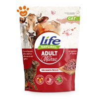 Life Cat Adult Manzo