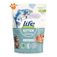 Life Cat Kitten Salmone