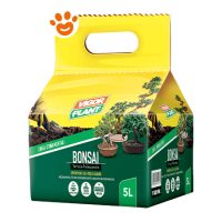 Vigorplant Bonsai Balletta