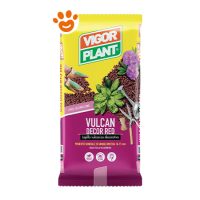 Vigorplant Vulcan Decor Red