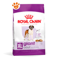 Royal Canin Dog SHN Giant Adult
