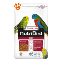 Versele Laga Nutribird B14 per Parrocchetti e Altri Piccoli Parrocchetti