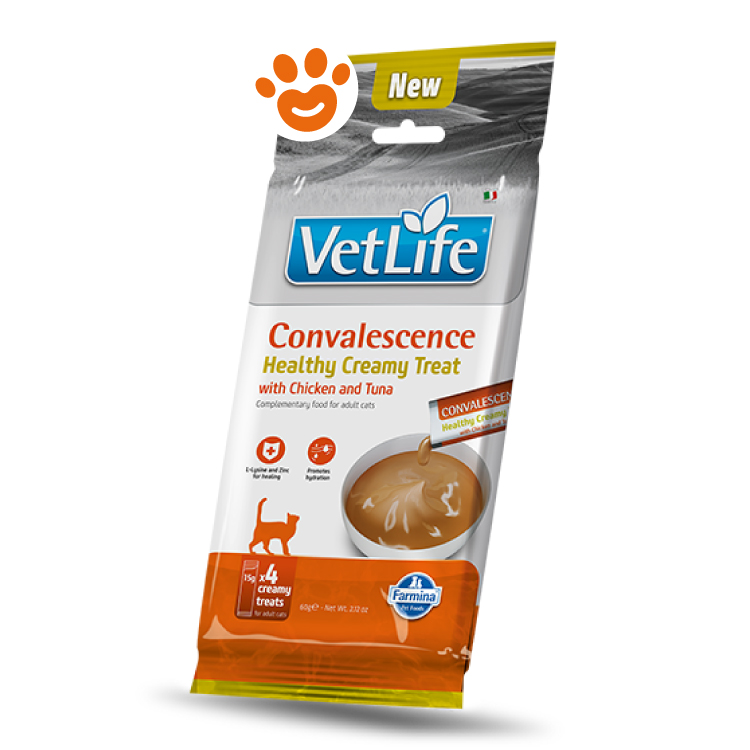 Confezione VetLife Convalescence snack cremoso per gatti